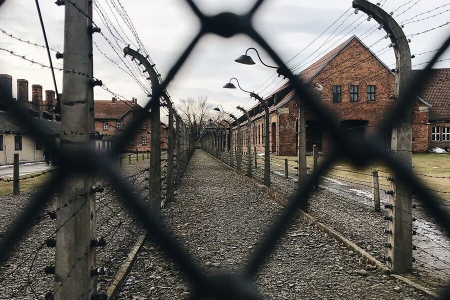 Krakow: Auschwitz-Birkenau Tour Limited to 15 Visitors - Is $89 good value?