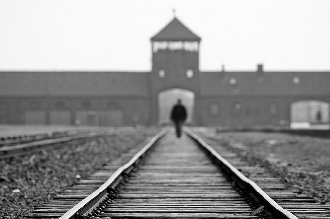 Krakow: Auschwitz-Birkenau Tour & Museum Expert Guide - Why Auschwitz-Birkenau needs a full day