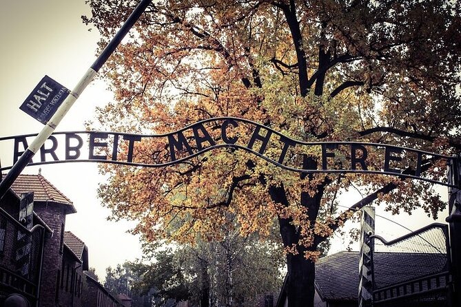 Krakow: Auschwitz-Birkenau Tour & Museum Expert Guide - Is $30.23 good value?