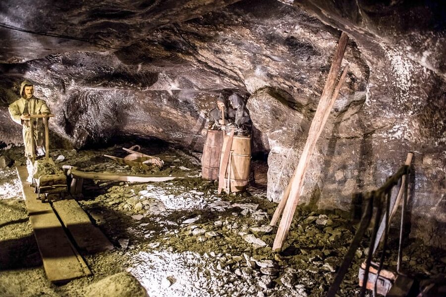 Krakow: Auschwitz-Birkenau & Wieliczka Salt Mine Day Tour - Value at $142 per person