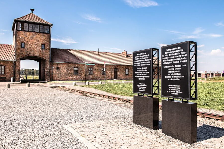 Krakow: Auschwitz-Birkenau & Wieliczka Salt Mine Day Tour - Early pickup and the journey from Krakow