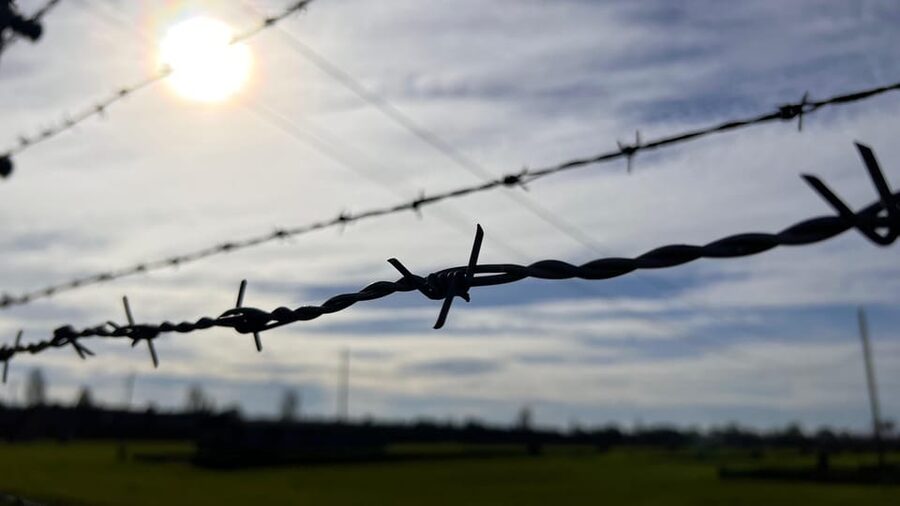 Krakow: Auschwitz-Birkenau & Wieliczka Salt Mine with Lunch - Who should book this day trip?