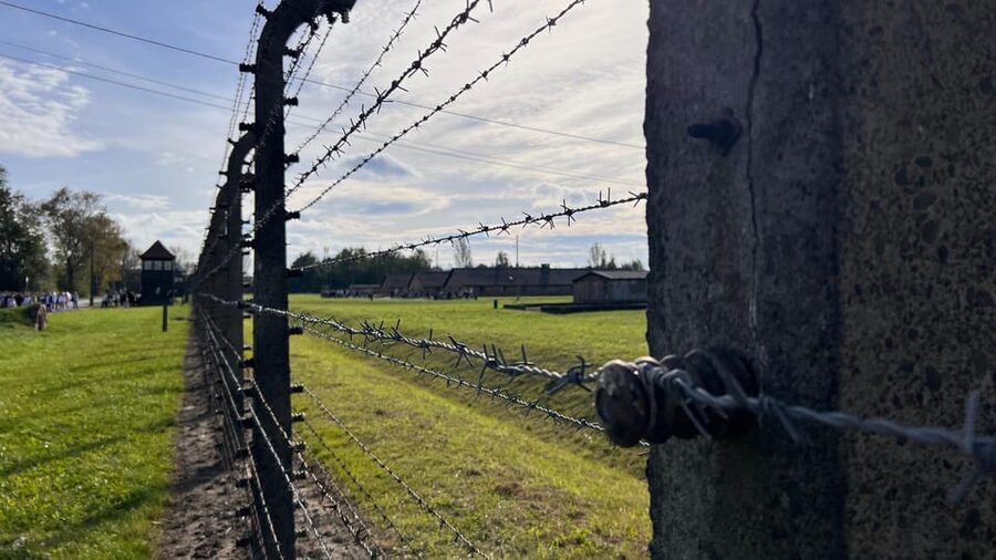 Krakow: Auschwitz-Birkenau & Wieliczka Salt Mine with Lunch - Is one day too much?