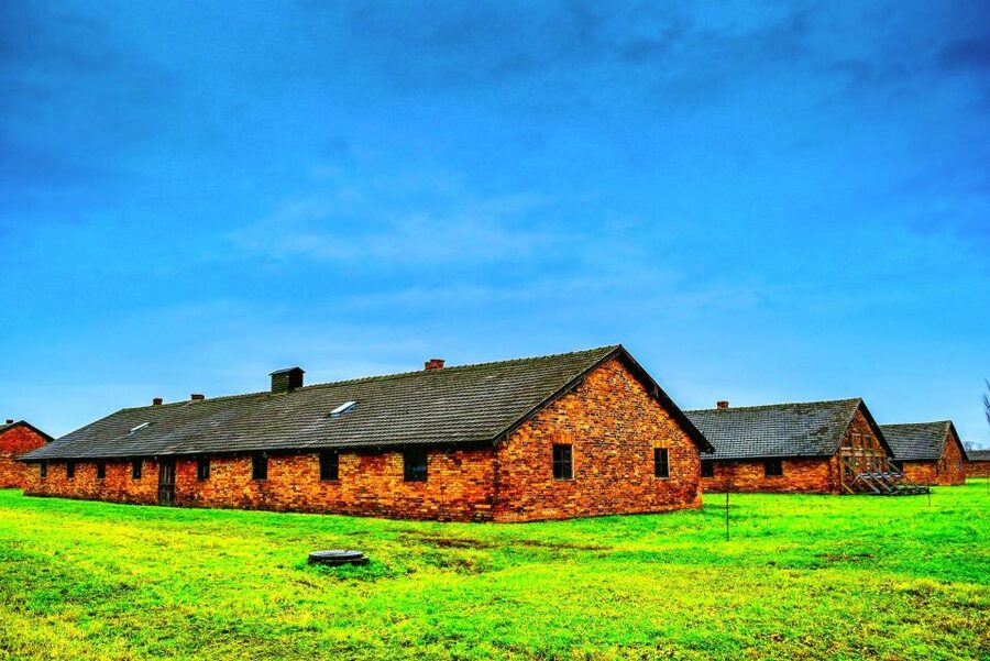 Krakow: Auschwitz Guided Tour with Optional Hotel Pickup - What to bring and who should book