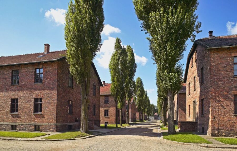 Krakow: Auschwitz Guided Tour with Optional Hotel Pickup - Why this Auschwitz trip matters