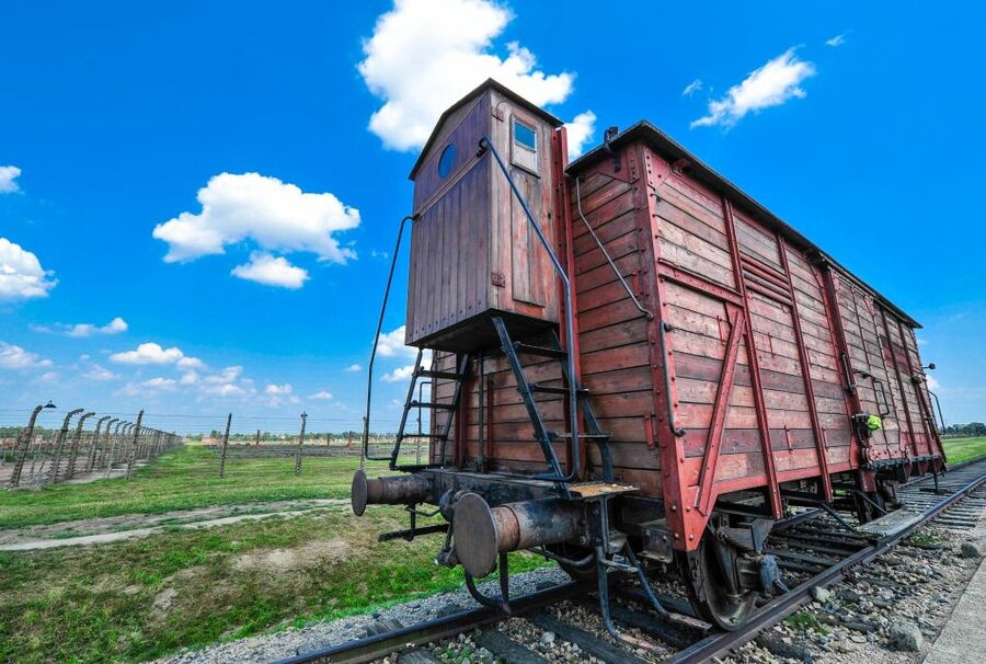 Krakow: Auschwitz Guided Tour with Optional Hotel Pickup - Timing, crowds, and the pace