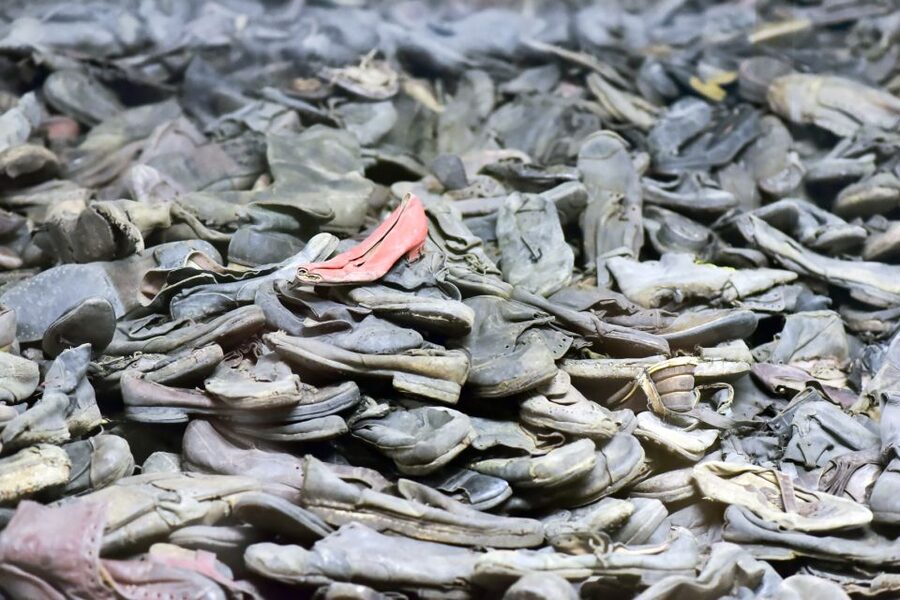 Krakow: Auschwitz Guided Tour with Pickup and Optional Lunch - Key points before you book