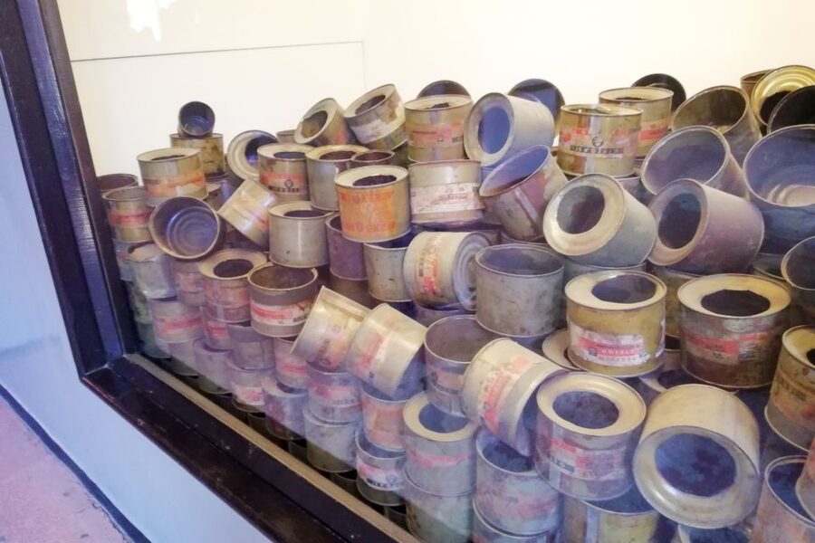 Krakow: Auschwitz Guided Tour with Pickup and Optional Lunch - Language choices and guide quality