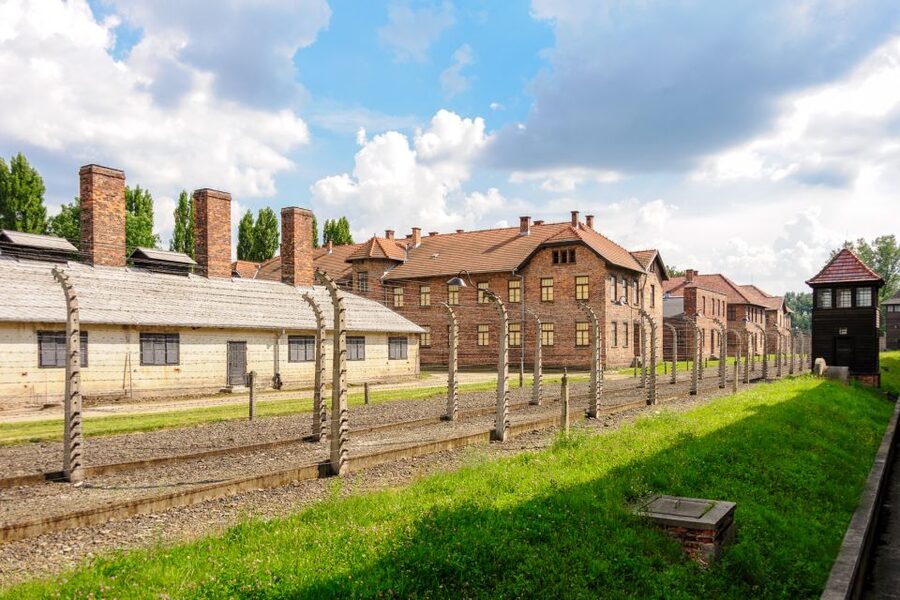 Krakow: Auschwitz Guided Tour with Pickup and Optional Lunch - Who should book this Auschwitz tour