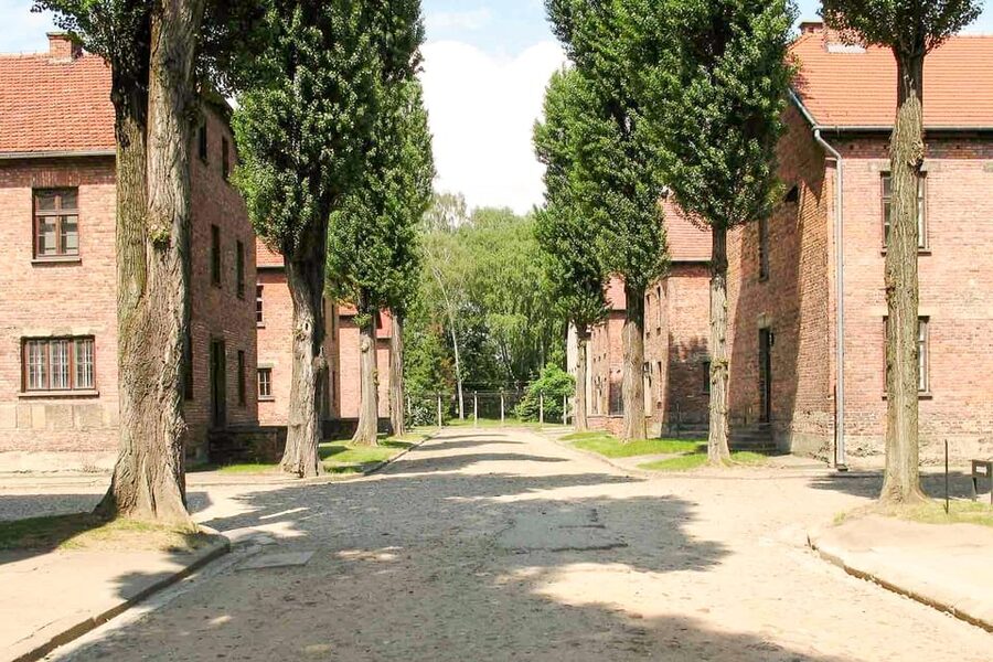 Krakow: Auschwitz & Wieliczka Salt Mine Guided Day Tour - The real cost of a $54 tour
