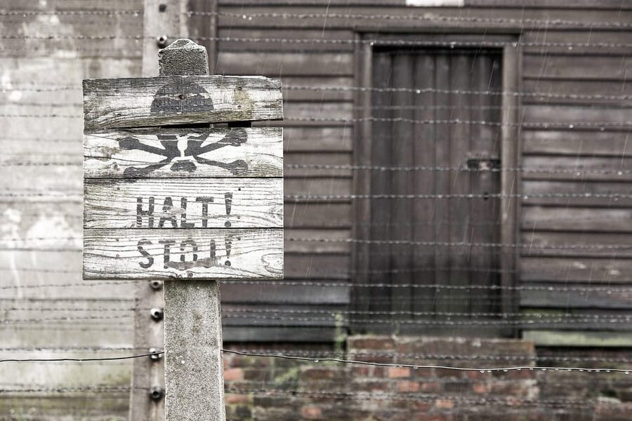 Krakow: Auschwitz & Wieliczka Salt Mine Guided Day Tour - A demanding 11-hour schedule