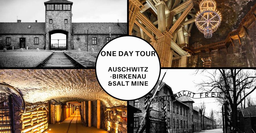 Krakow: Full-Day Auschwitz-Birkenau & Salt Mine Guided Tour - Entering Auschwitz-Birkenau for a 3.5-hour memorial visit