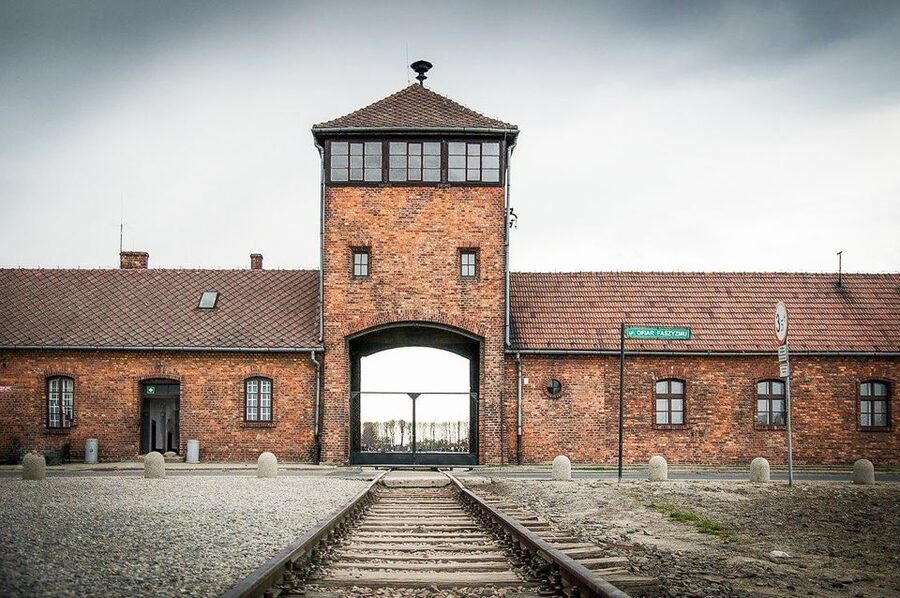Krakow: Full-Day Auschwitz-Birkenau & Salt Mine Guided Tour - Guides, drivers, and the group experience