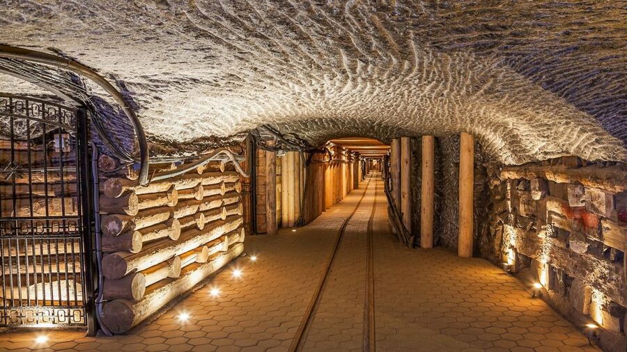 Krakow: Full-Day Auschwitz-Birkenau & Salt Mine Guided Tour - Is $118 good value?