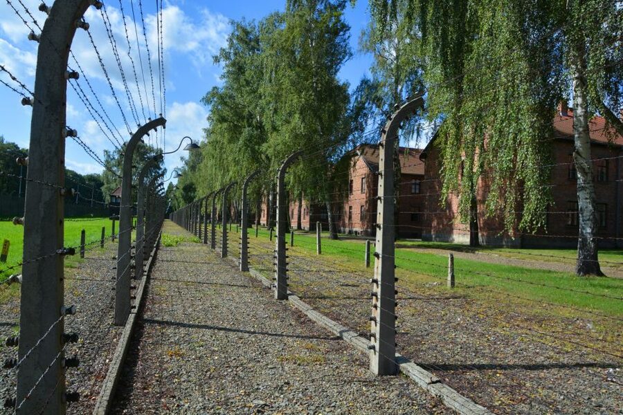 Krakow: Guided Auschwitz Birkenau Tour - Key points to know before you book