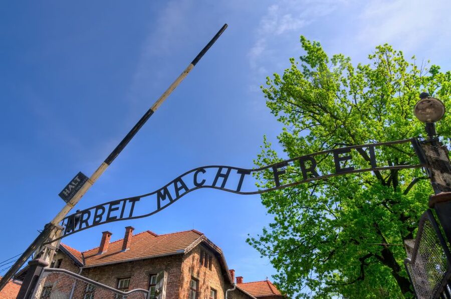 Krakow: Guided Auschwitz Birkenau Tour - Should you book the Krakow Auschwitz-Birkenau tour?