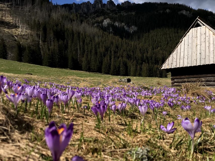 Krakow: Hiking Adventure in Tatra Mountains & Thermal Baths - The return to Krakow