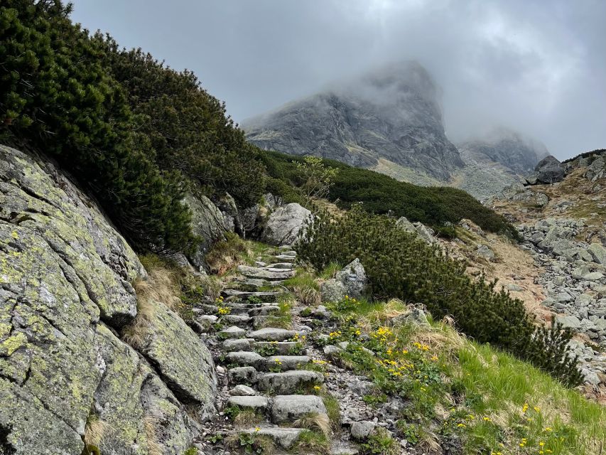 Krakow: Hiking Adventure in Tatra Mountains & Thermal Baths - Guide quality and group arrangements