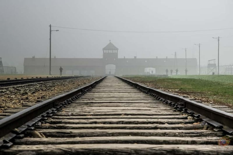 Krakow: Last Minute Auschwitz-Birkenau Guided Tour - Key points to know before booking