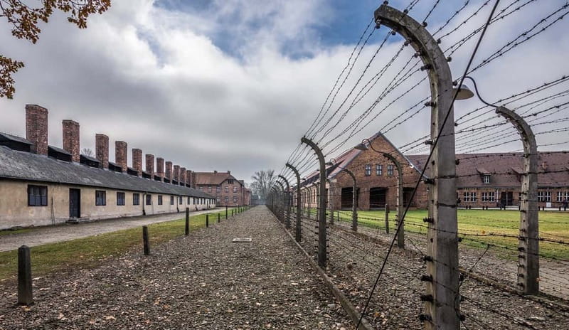 Krakow: Last Minute Auschwitz-Birkenau Guided Tour - The transfer to Birkenau and the railway platform