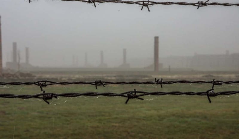 Krakow: Last Minute Auschwitz-Birkenau Guided Tour - Why the guide makes such a difference