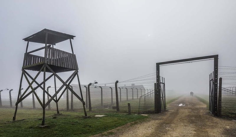 Krakow: Last Minute Auschwitz-Birkenau Guided Tour - Who should book this $80 experience?