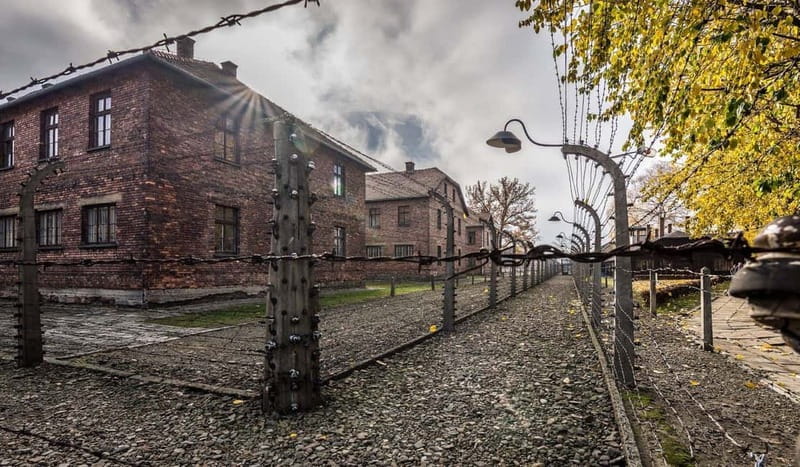 Krakow: Last Minute Auschwitz-Birkenau Guided Tour - Should you book the Krakow Auschwitz-Birkenau tour?