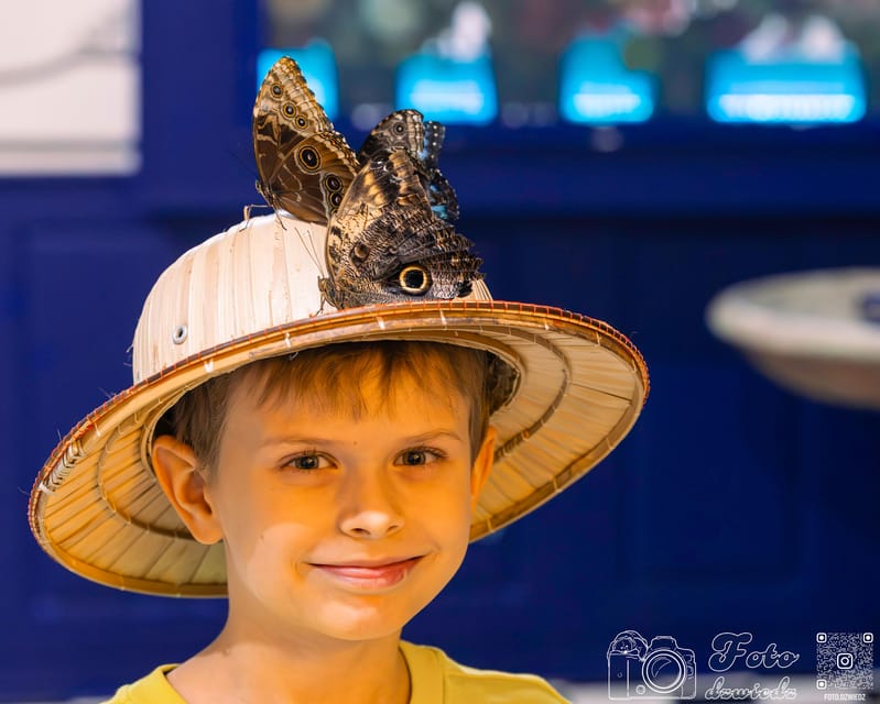 Krakow: Living Butterflies Museum ''House Of Attractions'' - Finding 48 Grodzka Street in Kraków