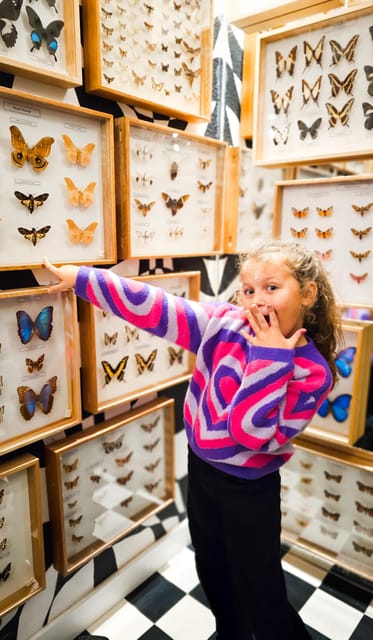 Krakow: Museum of Living Butterflies 2+1 - Key points at a glance