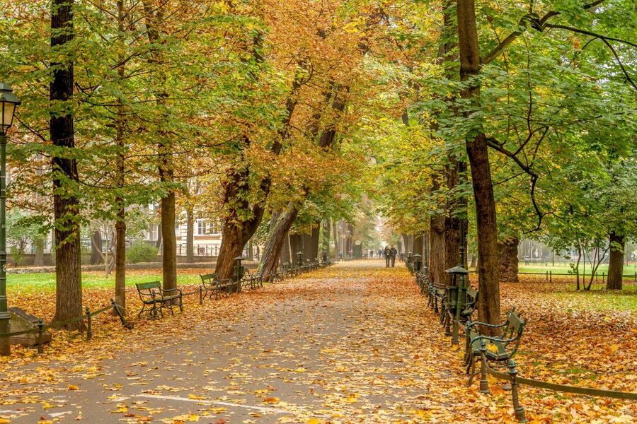Krakow: Old Town Guided Walking Tour - The Jagiellonian University district and Planty Park
