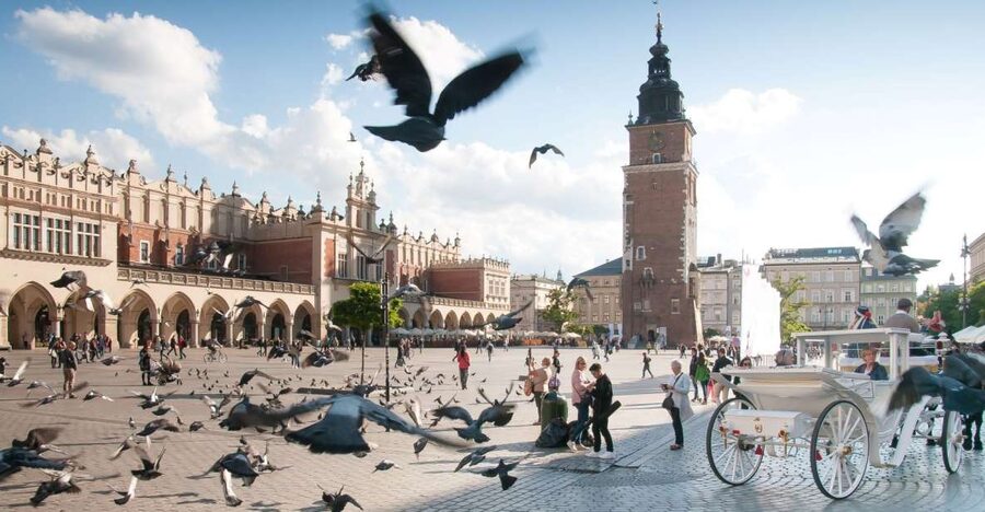 Krakow: Old Town Private Guided Walking Tour - Collegium Maius and Poland’s oldest university