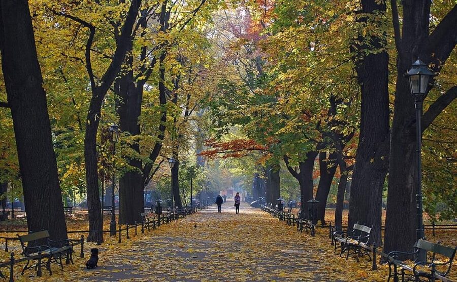 Krakow: Old Town "Royal Route" Walking Tour - Starting through Planty park and Krakow’s Old Town