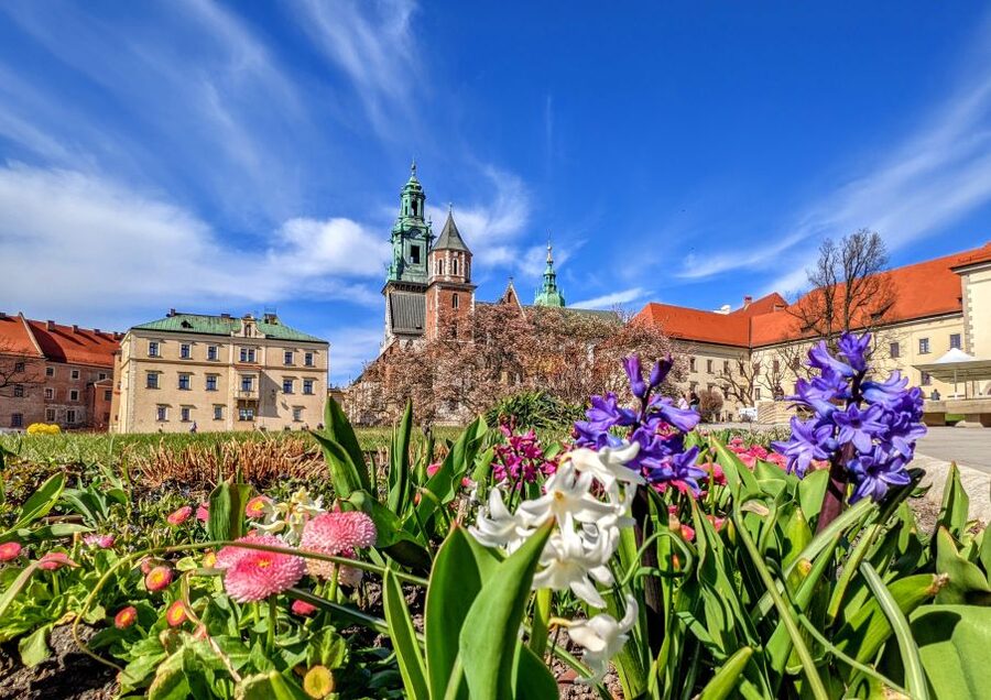 Kraków: Old Town & Wawel Castle Walking Tour in English - A long walk with a useful pause