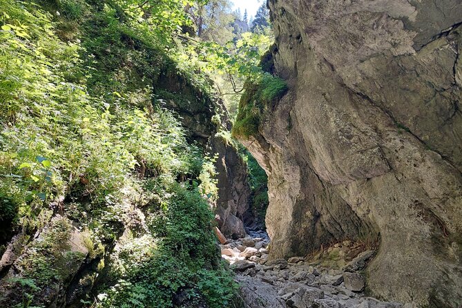 Krakow : Private tour hiking in Tatra Mountains and Termal baths - Who should book this experience