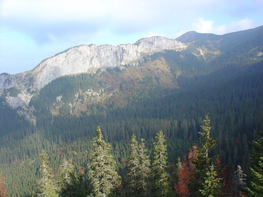 Krakow: Tatra Mountains and Zakopane Full-Day Private Tour - Zakopane’s older wooden style and Villa Atma