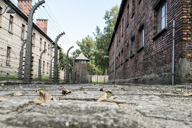 Krakow to Auschwitz Birkenau Guided Tour with Ticket and Transfer - The 65-kilometre journey from Krakow