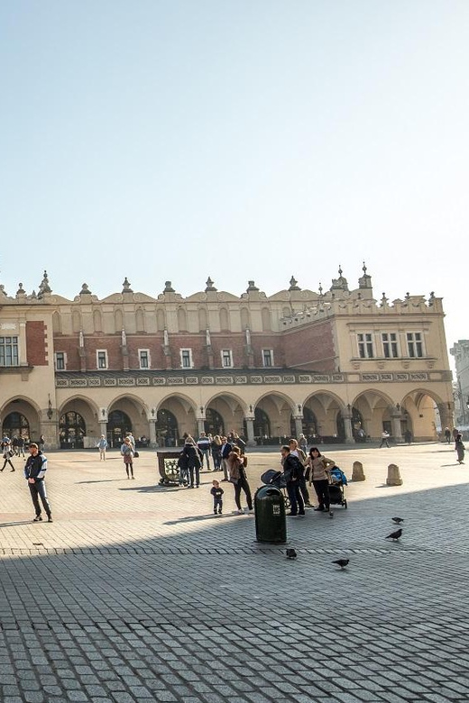 Krakow: Wawel Castle & Cathedral, Old Town & City Basilica - Who should book this Kraków tour?