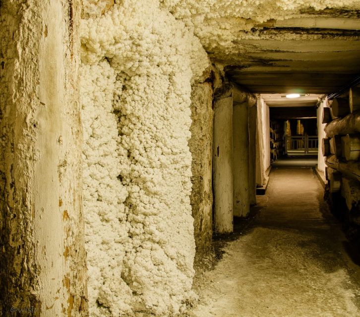 Krakow: Wieliczka Salt Mine Skip-the-Line Live Guided Tour - Chambers, lakes, and salt-carved chapels