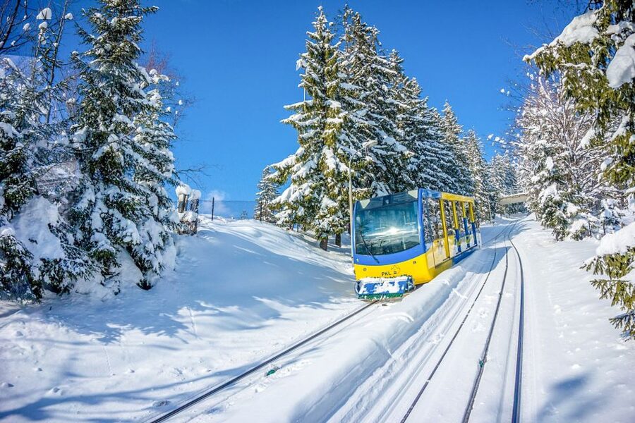 Krakow: Zakopane Day Tour with Optional Thermal Baths - Cheese, cranberry, and regional spirits