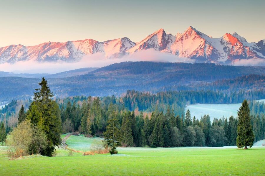 Krakow: Zakopane Day Tour with Optional Thermal Baths - Guides, vehicles, and how the day feels