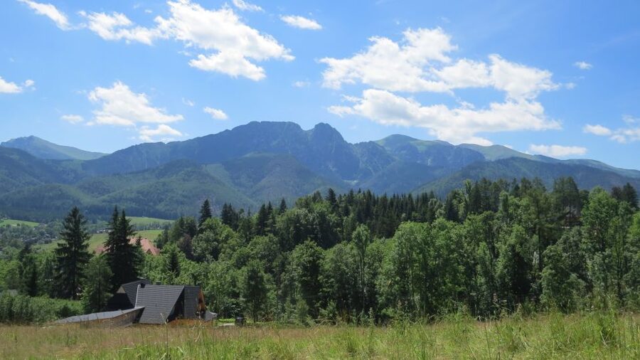 Krakow: Zakopane, Thermal Baths, Cable Car, Vodka, Oscypek - Two hours along Krupówki Street
