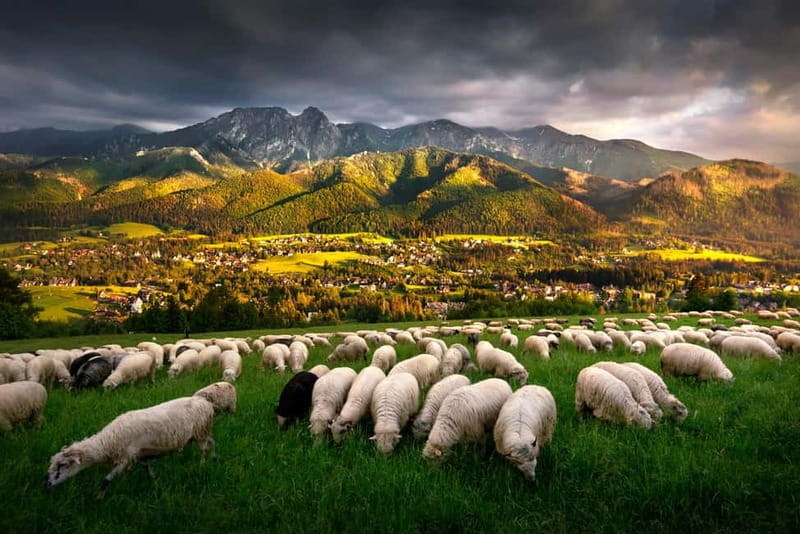 Krakow: Zakopane Trip with Thermal Pools & Hotel Pick-up - Chocholow and the old wooden houses