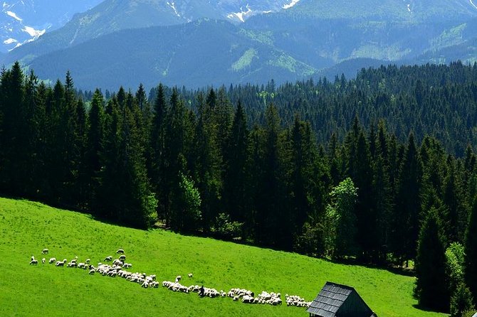Krakow: Zakopane with Thermal Baths, Cable Car & Hotel Pickup - Two and a half hours at Chocholowskie Termy