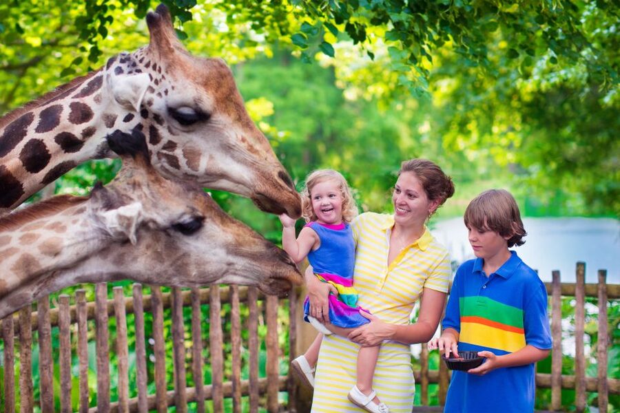 Krakow: Zoo Tour with Private Transport and Tickets - Skip-the-line entry gets you to the animals faster