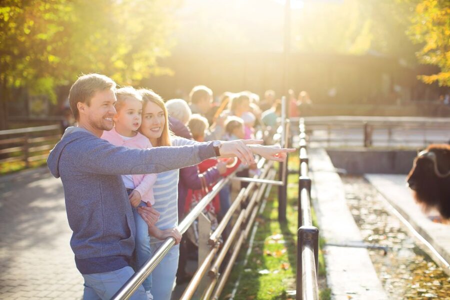 Krakow: Zoo Tour with Private Transport and Tickets - Who should book this Krakow Zoo experience?