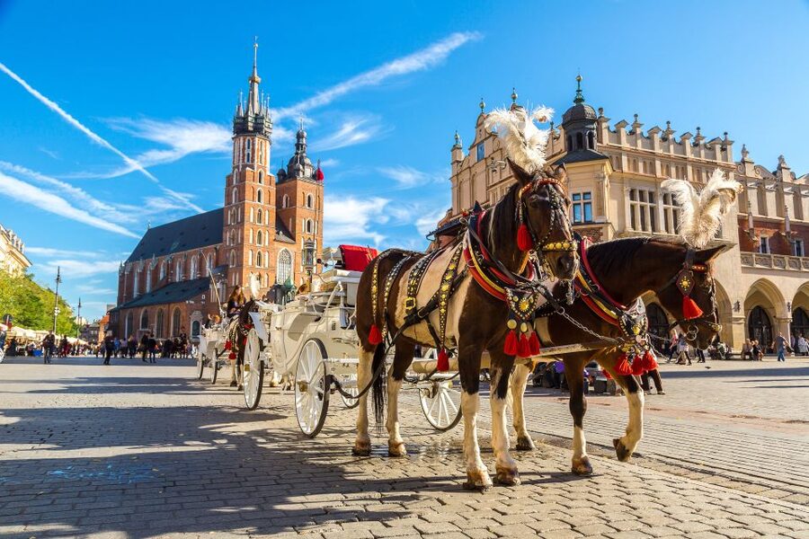 Krakow: Zoo Tour with Private Transport and Tickets - My verdict: convenient, pleasant, and best for easy planning