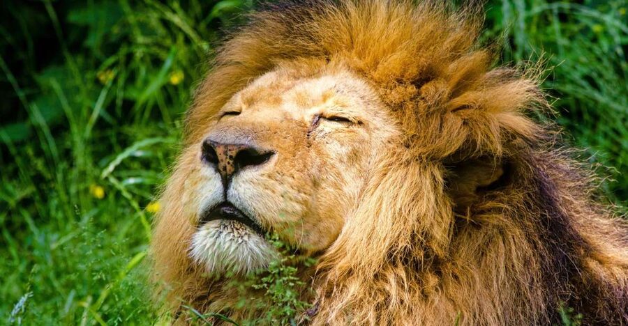 Krakow: Zoo with Hotel Pickup - Key points to know before you book