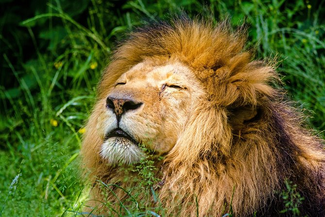 Krakow: Zoo with Hotel Transfer - The 8:30 morning pickup from your hotel