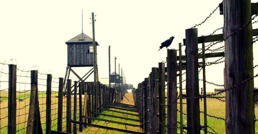 Lublin & Majdanek Small-Group Tour from Warsaw with Lunch - Why this Warsaw day trip works
