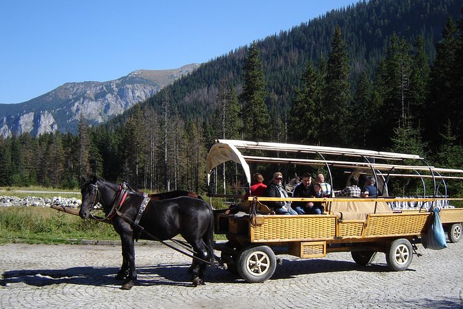 Morskie Oko Lake, Skywalk, Zakopane and Thermal Pools - Who should book this mountain day?